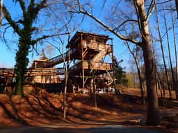 Treehouse at Castle